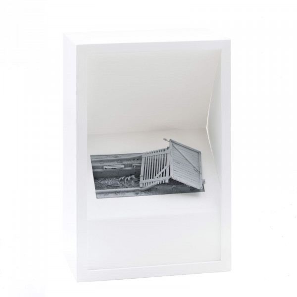 Shelter 11_25
