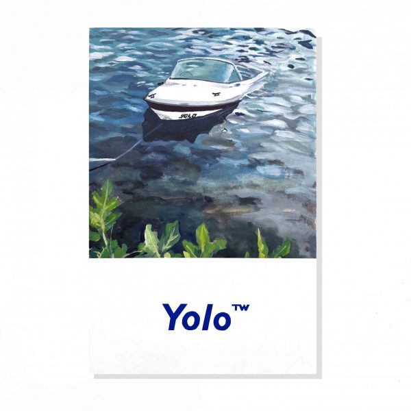 look yolo 2 scaled